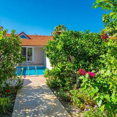 Duman 2 Villa Ortaca (Mugla)